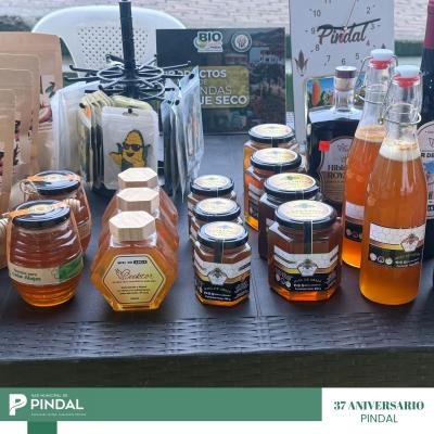 Feria de emprendimiento 53